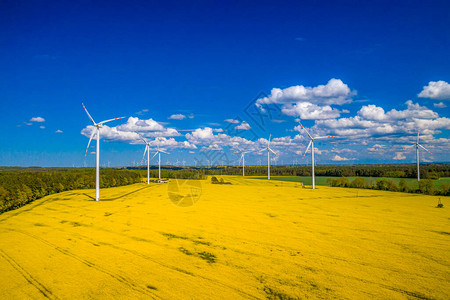 风力涡轮机可再生绿色能源产生清洁和生态电力用于电力生产的风车风力涡轮机在波兰的油菜田上发背景图片