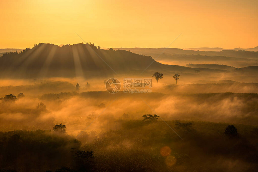 群山晨光和雾的全景在山的美丽的日出与树的剪影泰国素叻府的考图片