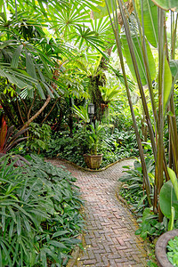 拉什热带花园环绕着泰国曼谷2020年1月22日前丝绸大主教吉姆图片