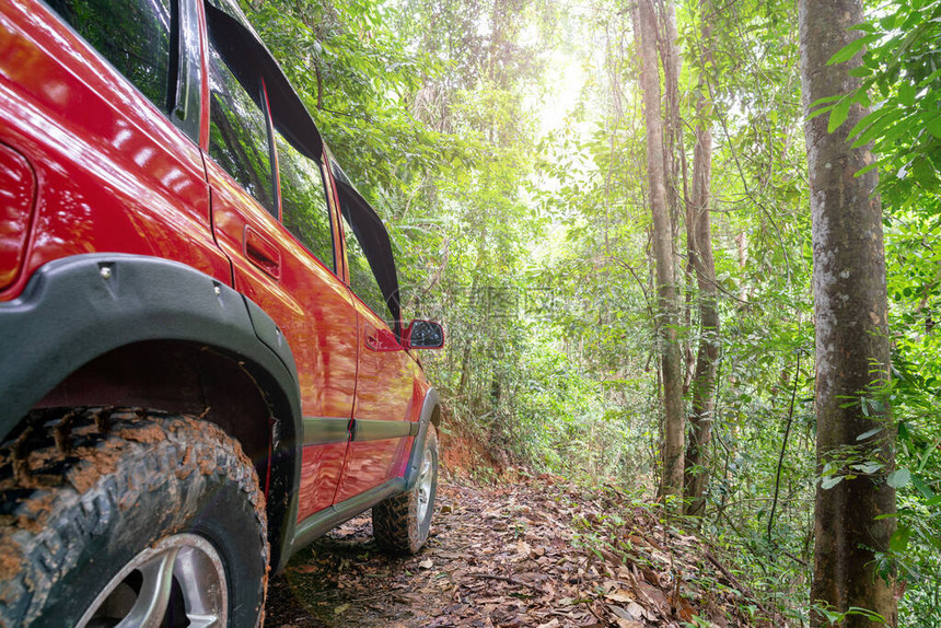 红色suv夏季汽车和山路在森林土路上行驶自由空间供您装饰绿色森林背景图片