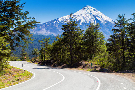 这条路通向著名的火山Osorno图片