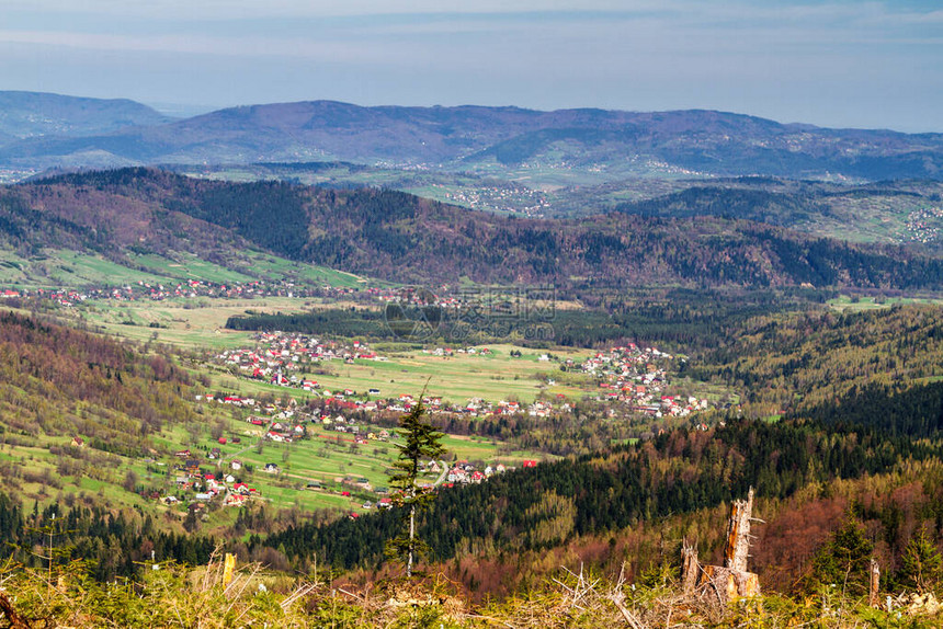 从波兰BeskidZywiecki比尔斯科山脉的Beskids山看波兰镇So图片