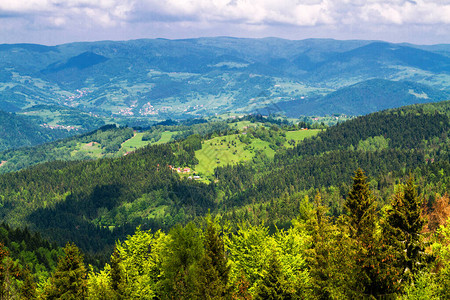 Sadecki山区草原和森林全景喀尔巴阡山地貌图片