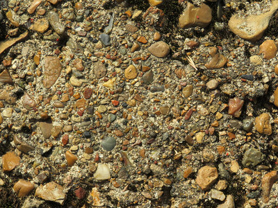 海和河石头的背景图片
