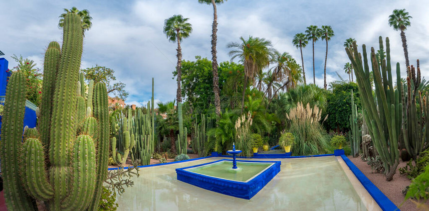 马若雷勒花园是摩洛哥马拉喀什的一个植物园和艺术家的景观花园JardinMajorelle仙人掌和热带棕榈树沙漠图片