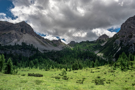 在美丽的卡尼克阿尔卑斯山福里迪索普拉弗里利韦尼齐亚朱利亚图片