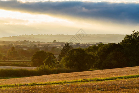 英国科茨沃尔德地区英国乡村收获的麦田图片