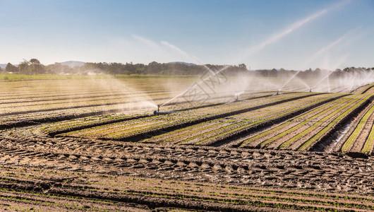 大型农田的灌溉系统喷水器安装系统图片