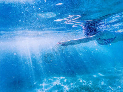女人在清澈的热带水域浮潜图片