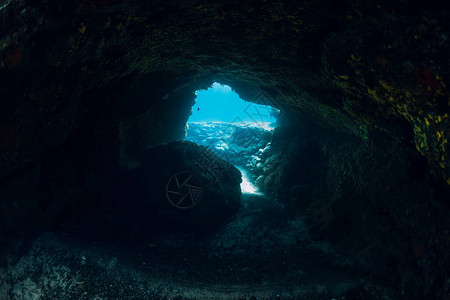 蓝海隧道洞穴的水下场景图片