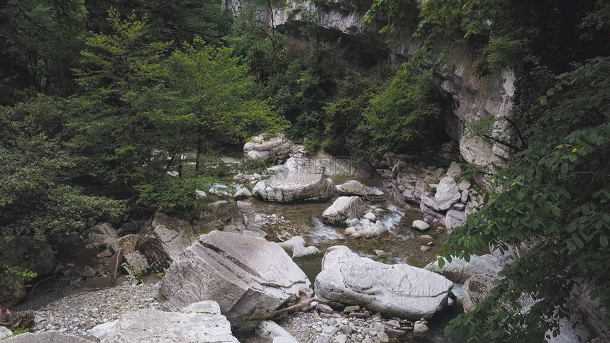 一条流经绿色森林的山区河流的鸟瞰图自然景观与冷淡水流和图片