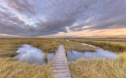 韦斯特舍尔德荷兰Zeeland省TidalMarshland自然保留地Verdronken土地vanSaeftingh背景