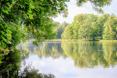 湖面上树木的镜像夏季公园景观城市公园镜像湖面上光滑景观图片