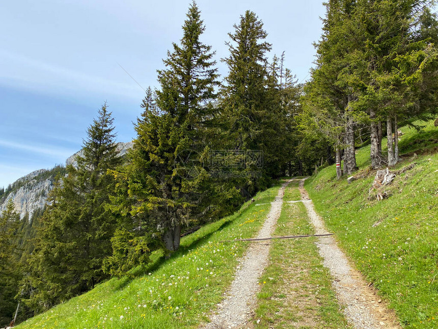 在皮拉图斯地块的斜坡和山脚下的高山谷中散步远足运动和娱乐的小径图片