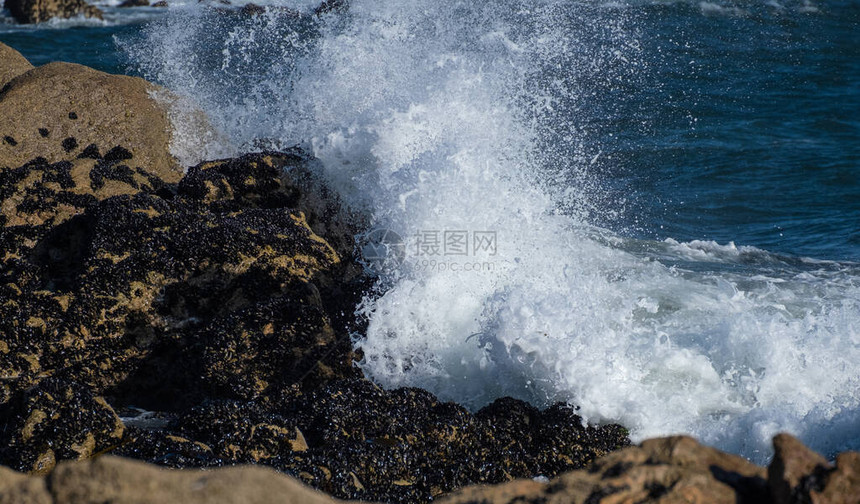 向空中喷洒白喷雾的巨浪冲撞海岸上被贝图片