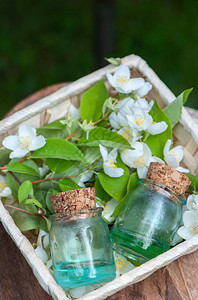 茉莉香油装满茉莉油的瓶子新鲜花和树叶在天图片