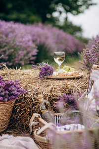 来杯白葡萄酒野餐篮子零食和花束图片