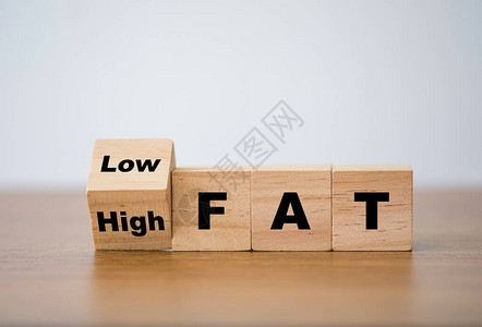 Wooden立方体块从高脂肪到低脂肪的翻转变化饮食和良图片