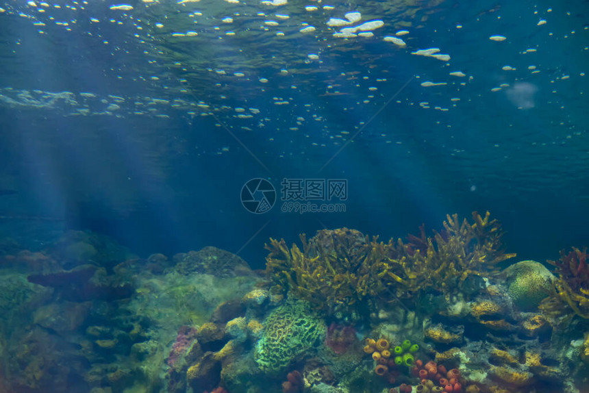 阳光照耀在海面照射到水下多图片