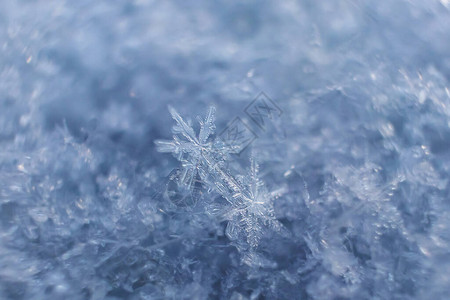 雪花特写微距照片冬天寒冷自然之美的概念复制空间图片