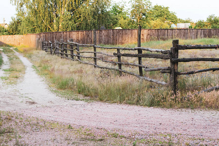 在乡间小路转弯的牛放牧木栅栏图片