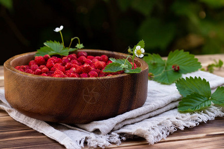 一碗红色的成熟野草莓和花朵图片