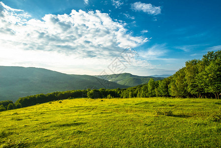 美丽的乡村全景美丽的夏日风景树木山脉和蓝天图片