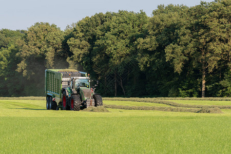 绿色拖拉机在荷兰夏季用一辆绿色搬运车拾图片