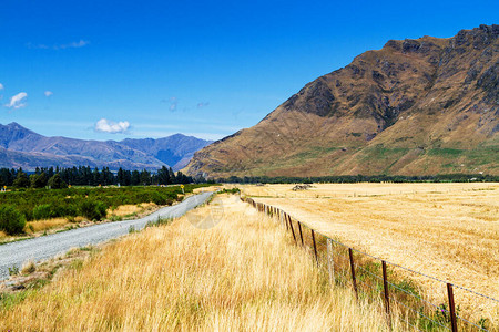 穿过美丽而自然的荒野原始的新西兰农村地貌图片