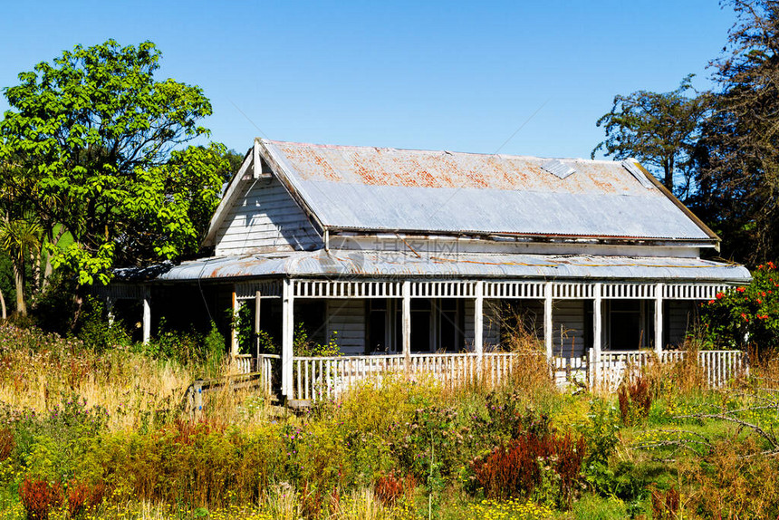 被摧毁和遗忘的小屋在农场中间在新西兰图片