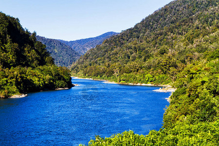 美丽的蓝色绿河夏季在新西兰南岛流淌的图片