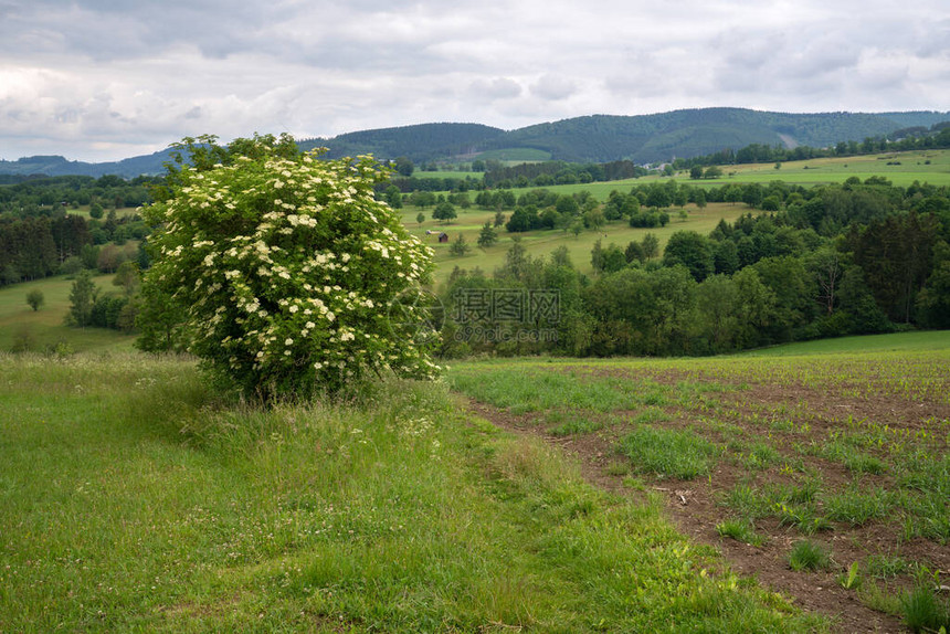 德国Sauerland地区Winterberg附近风图片