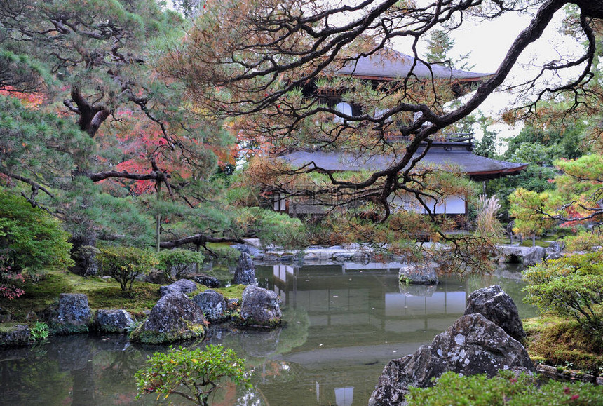 秋季日本花园的壮丽景色游泳池周围美丽的枫树和大石头日本秋天的梦幻般的旅游目的地秋季户外图片