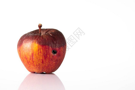 白色背景上的烂红苹果背景图片