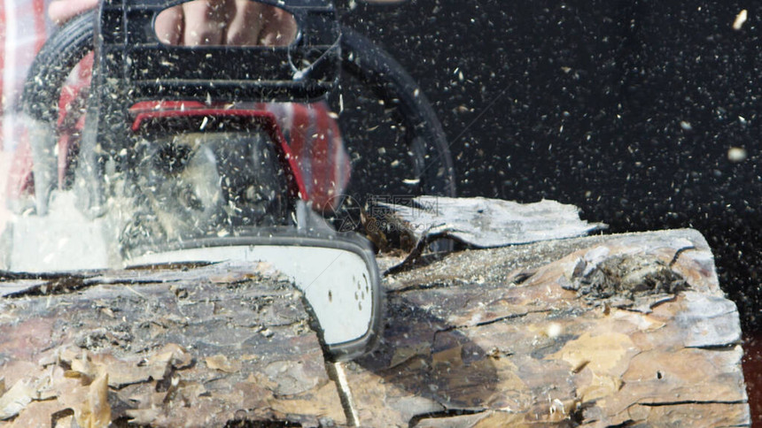 用链锯过程锯木头的特写男木匠锯树干的一部分图片