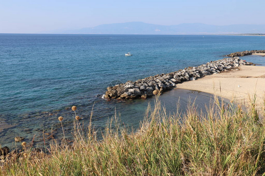 海边的全景浓密的草丛在烈日蔚蓝的大海天空沙滩和海岸的人工图片