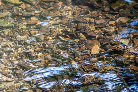 晶莹剔透的小溪水中的石块图片