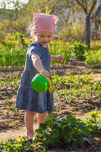 穿着牛仔服的笑脸小女孩从儿童玩具浇水罐里把草莓灌木倒在花园里童年太阳图片