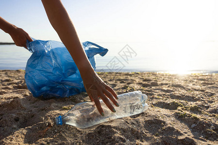 志愿者捡起废弃的塑料瓶清洁户外海滩清洁海洋概念背图片