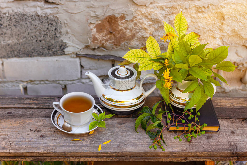 绿野葡萄枝温暖的草药饮料白瓷茶具在新鲜空气中热酿的天然饮料舒适的图片