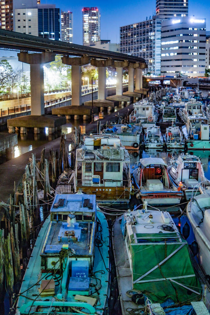 船舶和东京天际线日落图片