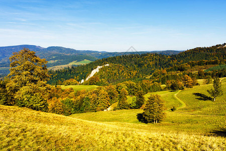波兰皮涅尼秋天波兰山的风景在温暖阳背景图片