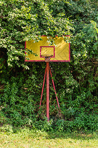 用草盖的被放弃的篮球场背景图片