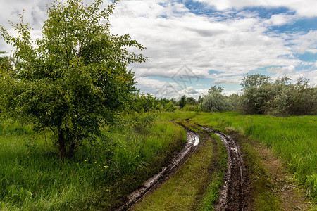 风景秀丽的雨后泥泞的道路穿过树木和绿草场地图片