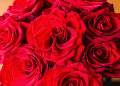 红玫瑰美丽的芬芳玫瑰花束特写图片