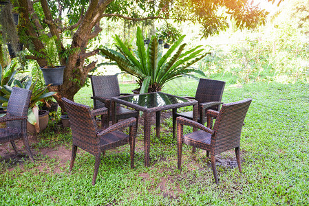 树下花园的桌子和椅子夏季一套桌椅室外自然绿底色图片