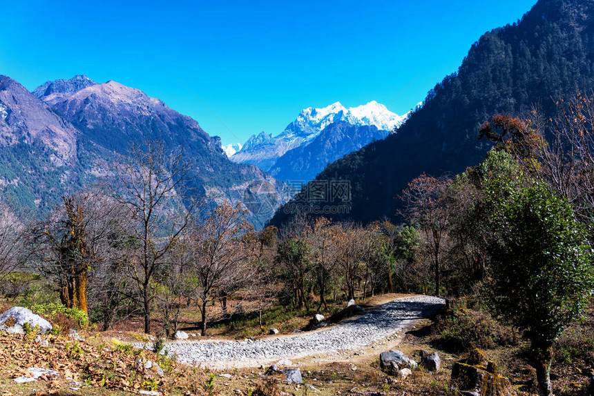 背景是马纳斯鲁峰在尼泊尔受欢迎的旅游目的地小径上的全景安纳普尔纳赛道前往大本营和ThorungLa或图片