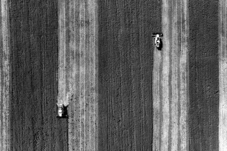 收获时间农业工黑白空中最佳景象包括野外图片