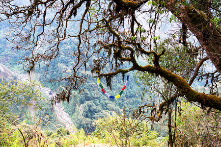 前往Annapurna基地营的途中图片