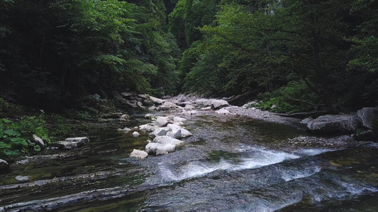 流淌的河流在热带绿色森林中的梯级景观绿色丛林中的大石头和寒冷的新鲜溪图片